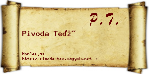Pivoda Teó névjegykártya